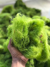 Load image into Gallery viewer, Jamaican Spirulina Wildcrafted |Non GMO