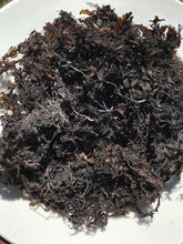 Load image into Gallery viewer, Jamaican Bladderwrack
