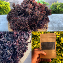 Load image into Gallery viewer, Bladderwrack Powder
